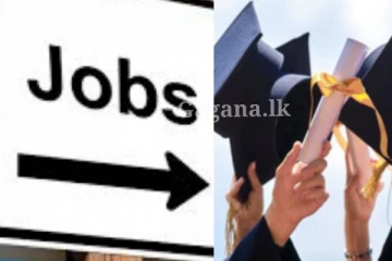 රැකියා විරහිත උපාධිධාරීන් 50,000ට රැකියා?.. ඒ මෙන්න මෙහෙමයි..(VIDEO)