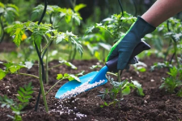 93000 மெற்றிக் தொன் இரசாயன பசளை இறக்குமதி