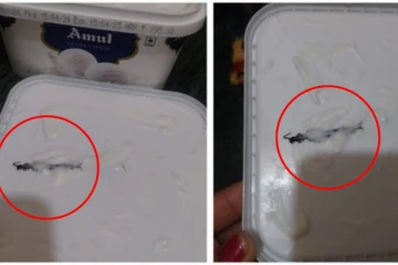 ஆசையாக ஐஸ்கிரீம் வாங்கிய பெண் - டாப்பை திறந்ததும் உள்ளே நெளிந்த பூரான்!!