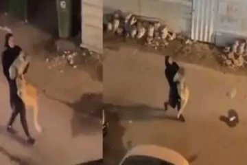 சிங்கத்தை துணிச்சலாக கையில் தூக்கி செல்லும் சிறுமி! பதைபதைக்க வைக்கும் சிசிடிவி காட்சிகள்