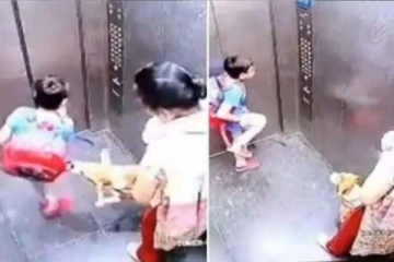 லிப்டில் சிறுவனை கடித்த நாய்! வலியால் துடித்த அவலம்: கண்டுகொள்ளாமல் நின்ற பெண்