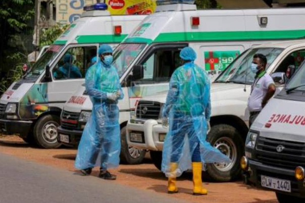 கல்முனையில் திடீரென வேகமாக பரவும் புதிய வைரஸ் | A New Virus Spreading Rapidly In Kalmunai