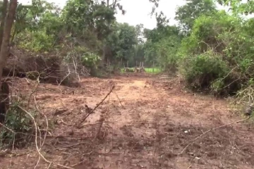 முல்லைத்தீவில் 20 ஏக்கருக்கு மேல் காடழிப்பு - துணைபோகும் வனவள திணைக்களம் மற்றும் பொலிஸார்