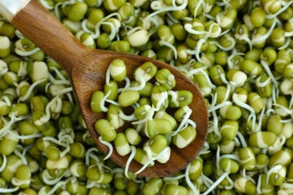 முளைக்கட்டிய பயிரில் சமைத்து தினமும் சாப்பிடலாமா? கட்டாயம் தெரிஞ்சிக்கோங்க...! | Food Sprout Dishes How To Add Taste To You