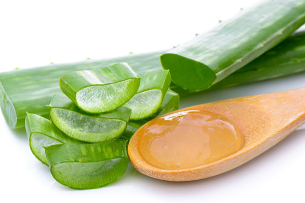 நீரிழிவு நோயை வாழ்நாள் முழுவதும் கட்டுக்குள் வைக்க விருப்பமா? இந்த தேநீர் மட்டும்போதும்! | Want To Control Your Diabetes Rest Of Your Life நீரிழிவு நோயை வாழ்நாள் முழுவதும் கட்டுக்குள் வைக்க விருப்பமா? இந்த தேநீர் மட்டும்போதும்! | Want To Control Your Diabetes Rest Of Your Life