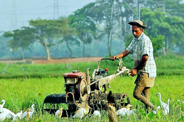 அரசாங்க அதிகாரிகளுக்கு பிரதமர் அதிரடி உத்தரவு! | For Cultivation By Farmers Prime Minister Order