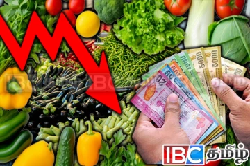 நாட்டில் குறைவடைந்த மரக்கறி விலை : விவசாயிகள் குற்றச்சாட்டு