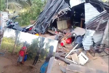 குச்சவெளி பிரதேசத்தில் காட்டு யானையின் அட்டகாசம்