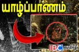 யாழ் நவாலியில் வெடிபொருட்கள் கண்டுபிடிப்பு