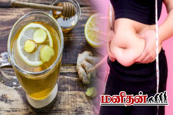 தொங்கும் தொப்பையை குறைக்கும் வீட்டு வைத்தியம்.. மருத்துவர் குறிப்பு! | How To Belly Fat Reduce It According To Expert தொங்கும் தொப்பையை குறைக்கும் வீட்டு வைத்தியம்.. மருத்துவர் குறிப்பு! | How To Belly Fat Reduce It According To Expert