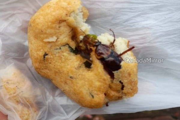 யாழில் பிரபல சைவ உணவகத்தில் இடம்பெற்ற அதிர்ச்சி சம்பவம் | Cockroach Popular Vegetarian Restaurant In Jaffna