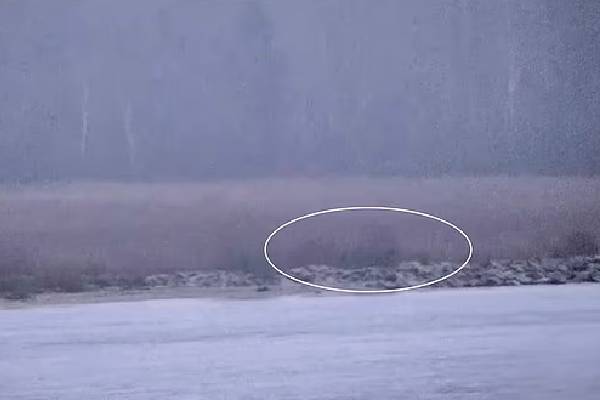 நேட்டோ பிரதேசத்திற்குள் அத்துமீறிய ரஷ்யப் பாதுகாப்புப் படையினர்... அதிகரிக்கும் பதற்றம் | Russians Cross Nato Territory நேட்டோ பிரதேசத்திற்குள் அத்துமீறிய ரஷ்யப் பாதுகாப்புப் படையினர்... அதிகரிக்கும் பதற்றம் | Russians Cross Nato Territory