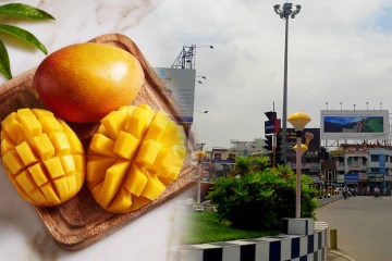 தமிழகத்தின் மாம்பழ நகரம் என்று அழைக்கப்படும் மாவட்டம்.., எது தெரியுமா?