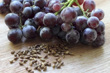 கருப்பு திராட்சை விதைகள் இத்தனை நோய்களை குணமாக்குமா?