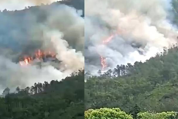 நடுங்கவைத்த விமான விபத்து: 132 பேரின் பரிதாப நிலை! வெளியான அதிர்ச்சி தகவல் | China Boeing 737 Flight Crashed Death Passengers நடுங்கவைத்த விமான விபத்து: 132 பேரின் பரிதாப நிலை! வெளியான அதிர்ச்சி தகவல் | China Boeing 737 Flight Crashed Death Passengers