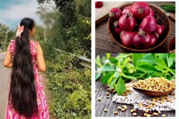 ஒரே மாதத்தில் முடி வளர்ச்சி பல மடங்கு அதிகரிக்க வெந்தயமும் வெங்காயமும் போதும்...!