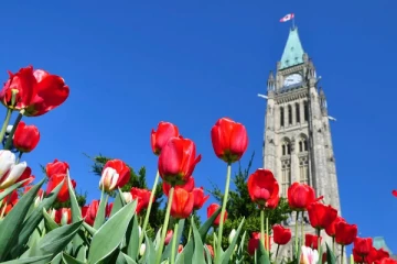 புலம்பெயர்தல் விண்ணப்பங்கள் பரிசீலனையை வேகப்படுத்துவதற்காக புதிய அமைப்பை உருவாக்கியுள்ள கனடா பிரதமர்