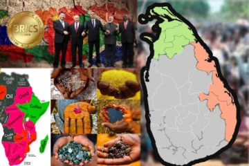 ஆபிரிக்க நாடுகளின் அமெரிக்க எதிர்ப்பும் இந்தியாவும்