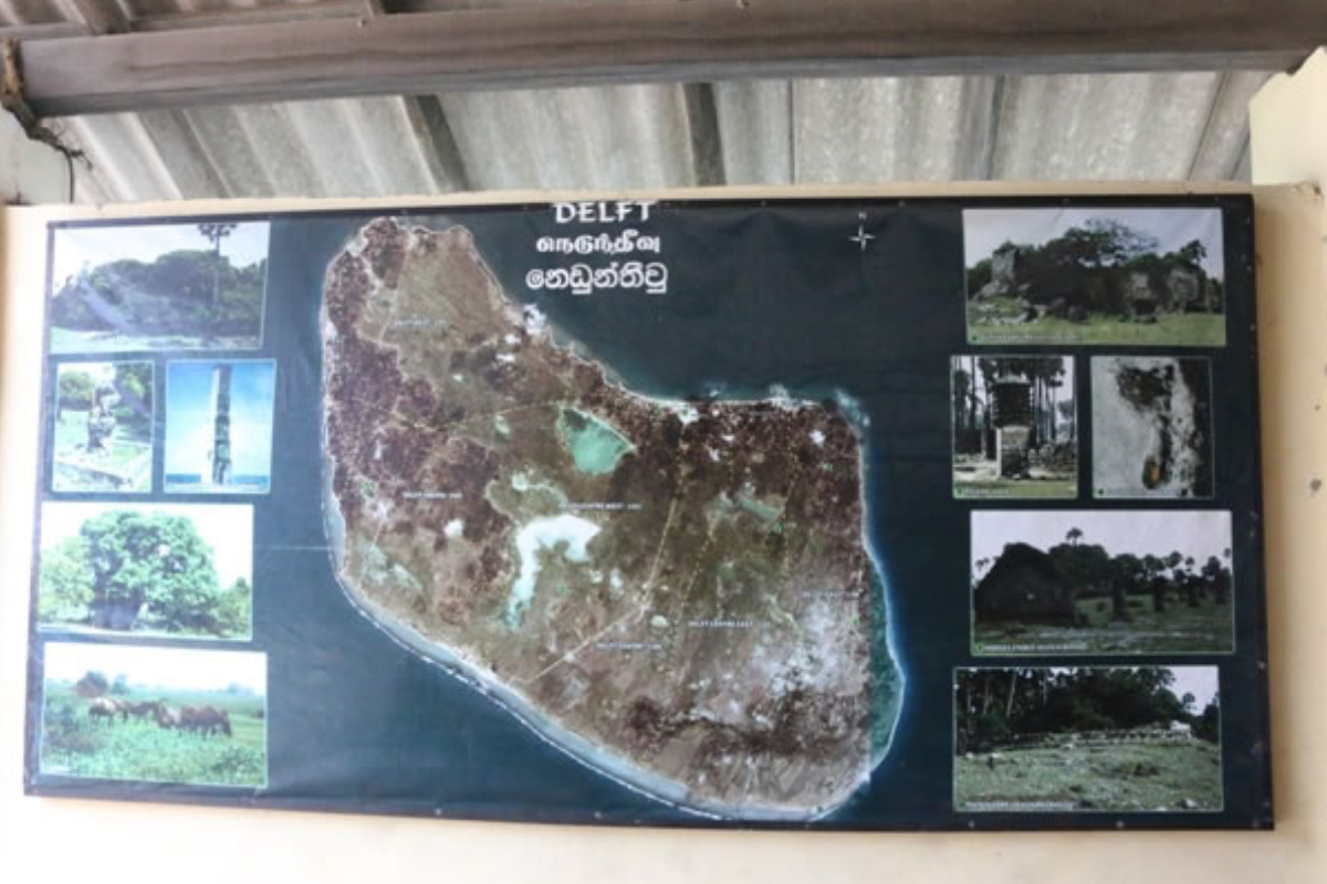 நெடுந்தீவு தனக்கான தனித்துவத்துடன் வாழ்வதற்கு வழிவகுக்கப்படும்: யாழ். மாநகர சபை உறுப்பினர் தெரிவிப்பு | Jaffna Municipal Council Member Statement