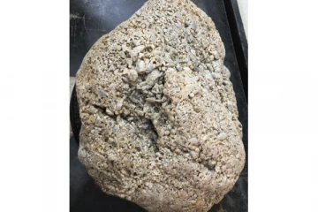 மிகப்பாரிய இரத்தினக் கல்லுக்கு சீனாவிடமிருந்து வந்த கேள்வி