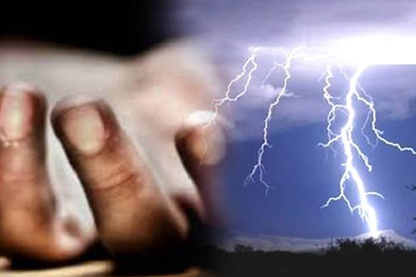 திருகோணமலையில் வயல் வேலை செய்து கொண்டிருந்த நபருக்கு நேர்ந்த சோகம்! | Man Working Field Trincomalee Lightning And Died