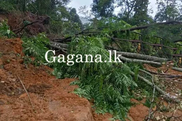 මීට පෙර ගිලා බැස්ස ප්‍රදේශයක් හදිසියේම නාය යයි.