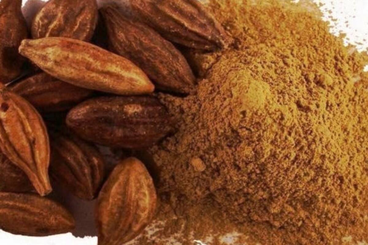 தொப்பை முதல் மலச்சிக்கல் வரை மருந்தாகும் கடுக்காய் - நன்மைகள் பற்றி தெரியுமா? | Kadukkai Benefits In Tamil