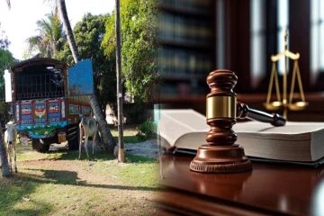 24 மாடுகளுடன் மீட்கப்பட்ட கனரக வாகனம்: பிணையில் செல்ல நீதிமன்ற உத்தரவு