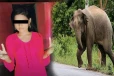 இலங்கையில் நடந்த அசம்பாவிதம் ; யானைத் தாக்குதலுக்கு இலக்காகி 14 வயது சிறுமி பலி