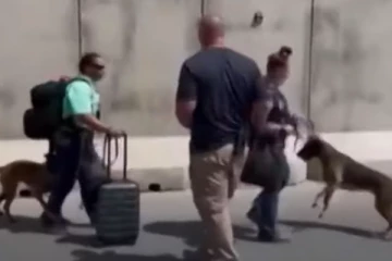 நாய்களை ஏற்றிச்செல்லும் அமெரிக்காவின் மீட்புவிமானங்கள்