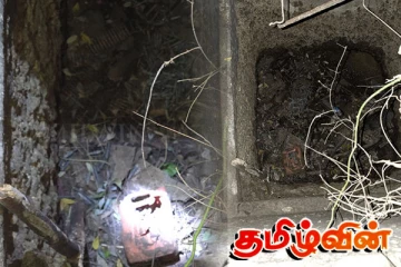 நவாலியில் கண்டுபிடிக்கப்பட்ட வெடிபொருட்கள்