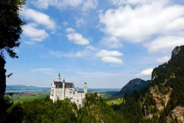 ஜேர்மனியில் நாயை லாக்கரில் வைத்து பூட்டிய பெண்