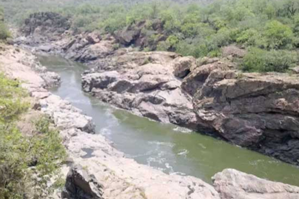 மேகதாது அணை விவகாரம்: தமிழ்நாட்டின் அனுமதி தேவையில்லை - கர்நாடக காங்கிரஸ் தலைவர்! | Karnataka Megathathu Dam