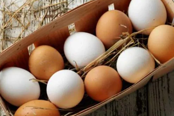 முட்டை விலை தொடர்பில் வெளியான வர்த்தமானி | Srilanka Egg Price