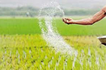 அரசு கூடுதல் கவனம்:MOP உரத்தின் விலையை குறைக்க நடவடிக்கை!