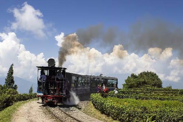 மிதிவண்டியை விட மெதுவான வேகமா! இந்தியாவின் மிக மெதுவான ரயில் எதுன்னு தெரியுமா? | Nilgiri Mountain Rail Is The Slowest Train India