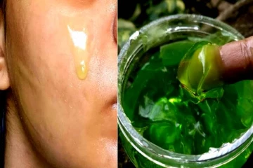 இரவு நேரங்களில் கற்றாழை தடவினால் என்ன நடக்கும்? தாறுமாறான ப்யூட்டி டிப்ஸ் இதோ!