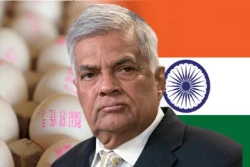 மீண்டும் இந்திய முட்டைகள் இறக்குமதி - பச்சைக்கொடி காட்டிய ரணில்