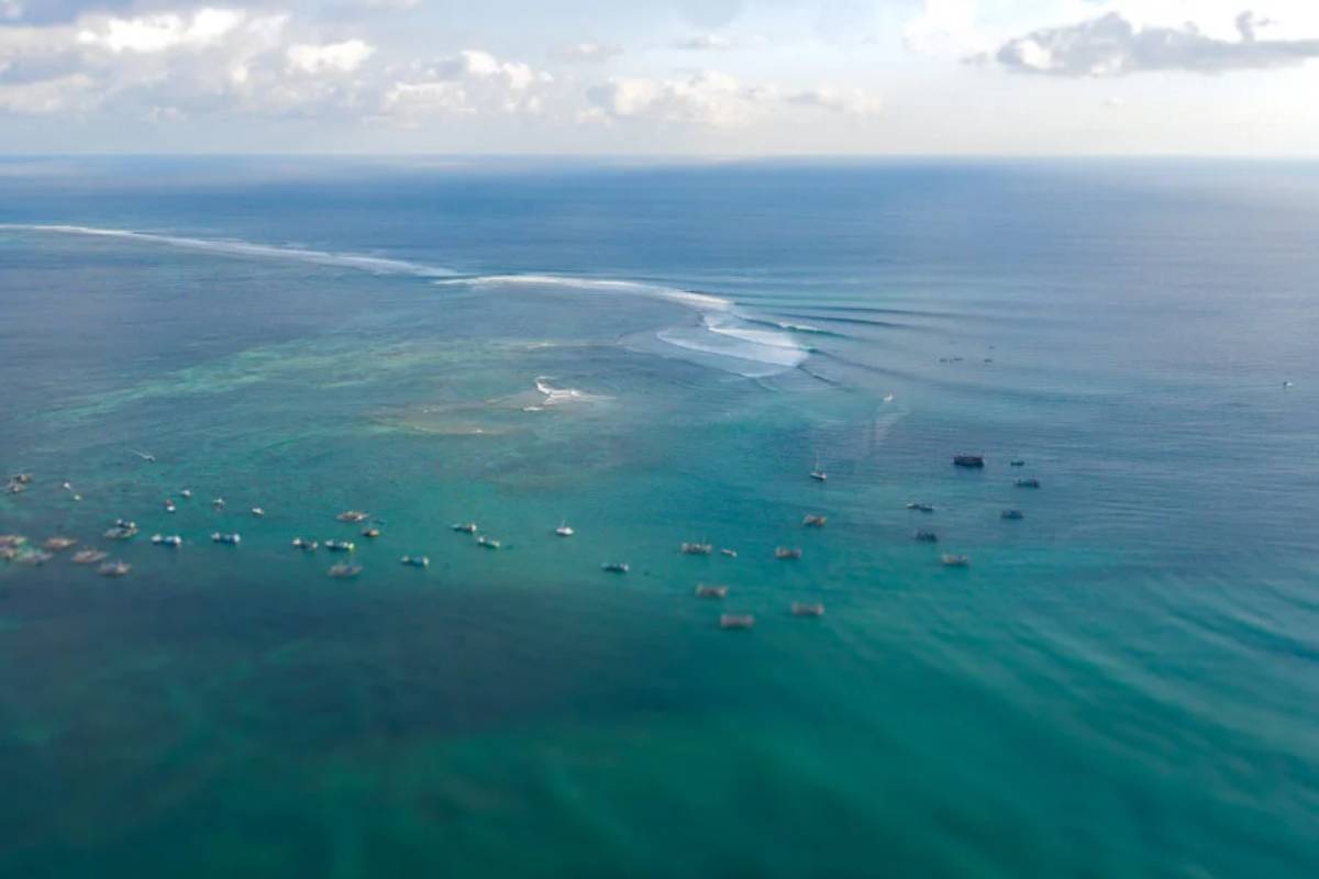 யாழ். நெடுந்தீவை முற்றுகையிட்ட தமிழக விசைப்படகுகள் | Tamil Nadu Trawlers Surround Jaffna S Delft Island