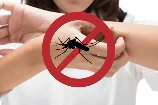 யாழ் குடாநாட்டு மக்களுக்கு எச்சரிக்கை தகவல் | Prevalence Of Dengue Increased Jaffna