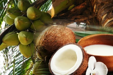 நாட்டில் தேங்காய்க்கு ஏற்படவுள்ள தட்டுப்பாடு: தென்னை ஆராய்ச்சி நிறுவனம் எச்சரிக்கை