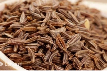 தப்பிதவறி கூட சீரகத்தை அதிகமா சாப்பிடாதீங்க..! இந்த பக்கவிளைவுகளை எல்லாம் ஏற்படுத்தும்