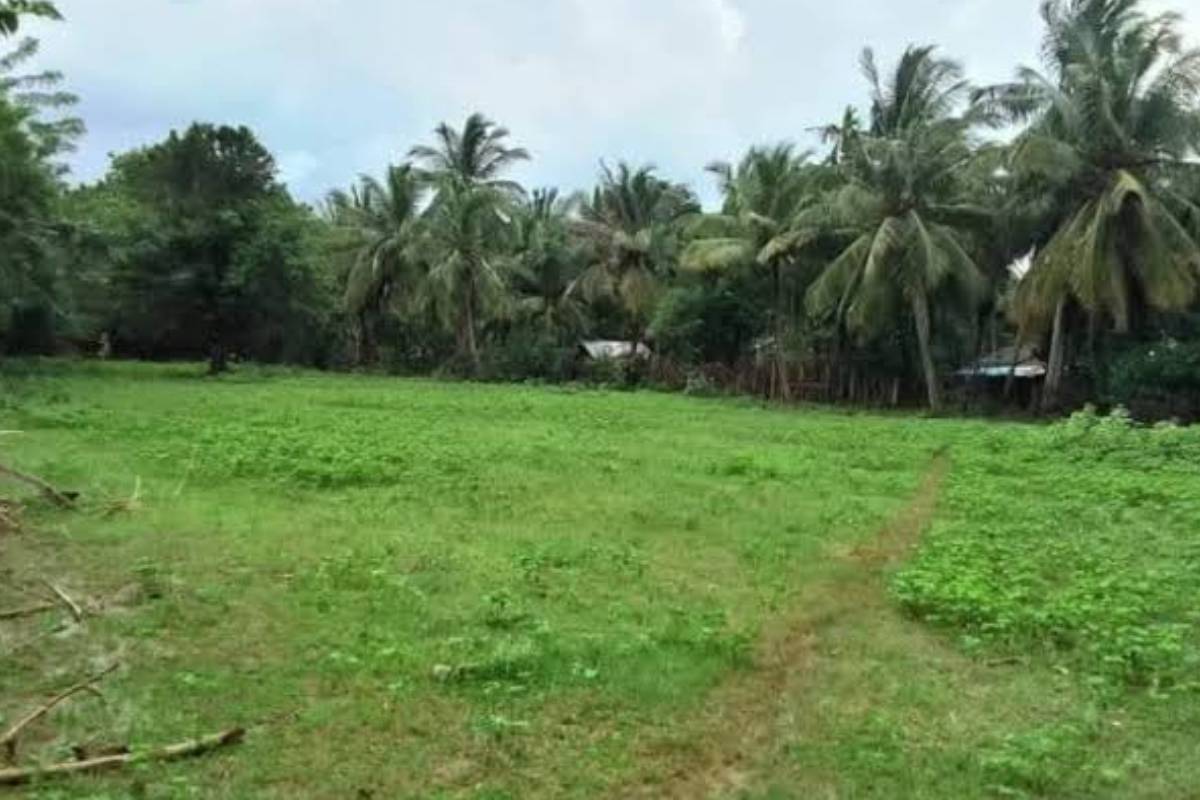 மருதங்கேணி பகுதியில் உள்ள காணி தொடர்பில் நில அளவை திணைக்களத்தின் அறிவிப்பு | Land Acquisition In The Maruthankeni Area மருதங்கேணி பகுதியில் உள்ள காணி தொடர்பில் நில அளவை திணைக்களத்தின் அறிவிப்பு | Land Acquisition In The Maruthankeni Area