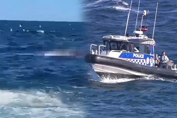 சுற்றுலாப்பயணிகள் கண் முன்னே கடலில் நீந்திக்கொண்டிருந்தவரை கடித்து விழுங்கிய சுறா