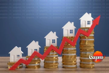 ඉඩම් හා නිවාස මිල ඉහළ යන්න මේකද හේතුව? ඇමතිගෙන් අනාවරණයක්