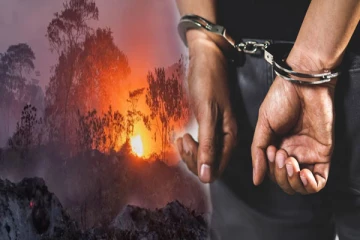 காட்டு பகுதிக்கு தீ வைத்த ஏழு இளைஞர்கள் கைது