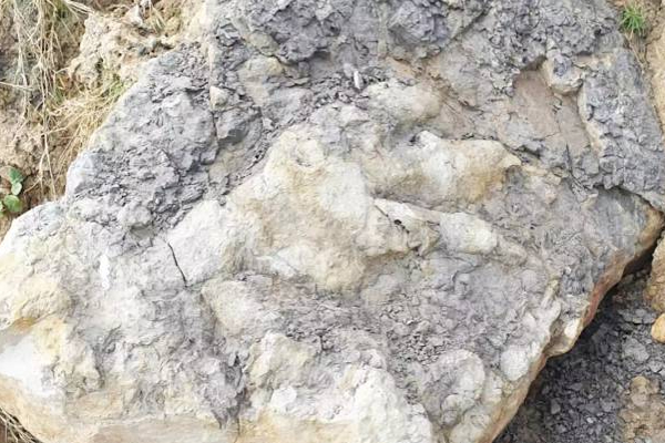பிரித்தானியாவில் கண்டுபிடிக்கப்பட்ட டைனோசர் கால்தடம்! | 3 3 Feet Long Dinosaur Footprint Found In Britain