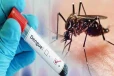 டெங்கு அபாய எச்சரிக்கை விடுக்கப்பட்டுள்ள ஐந்து மாவட்டங்கள்