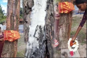 மட்டக்களப்பில் நடந்த அதிசயம்! பால் சொரியும் வேப்ப மரம்