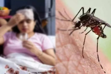 தீவிரமடையும் டெங்கு நோய் தொற்று! நாட்டு மக்களுக்கு விடுக்கப்பட்டுள்ள எச்சரிக்கை